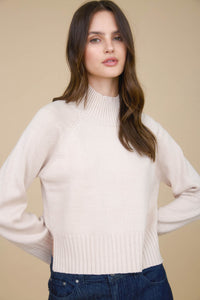 Mock Neck Long Sleeve Knit Cropped Sweater