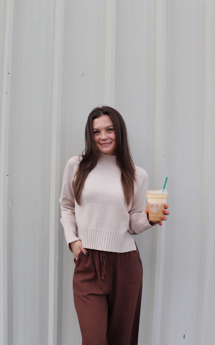 Mock Neck Long Sleeve Knit Cropped Sweater