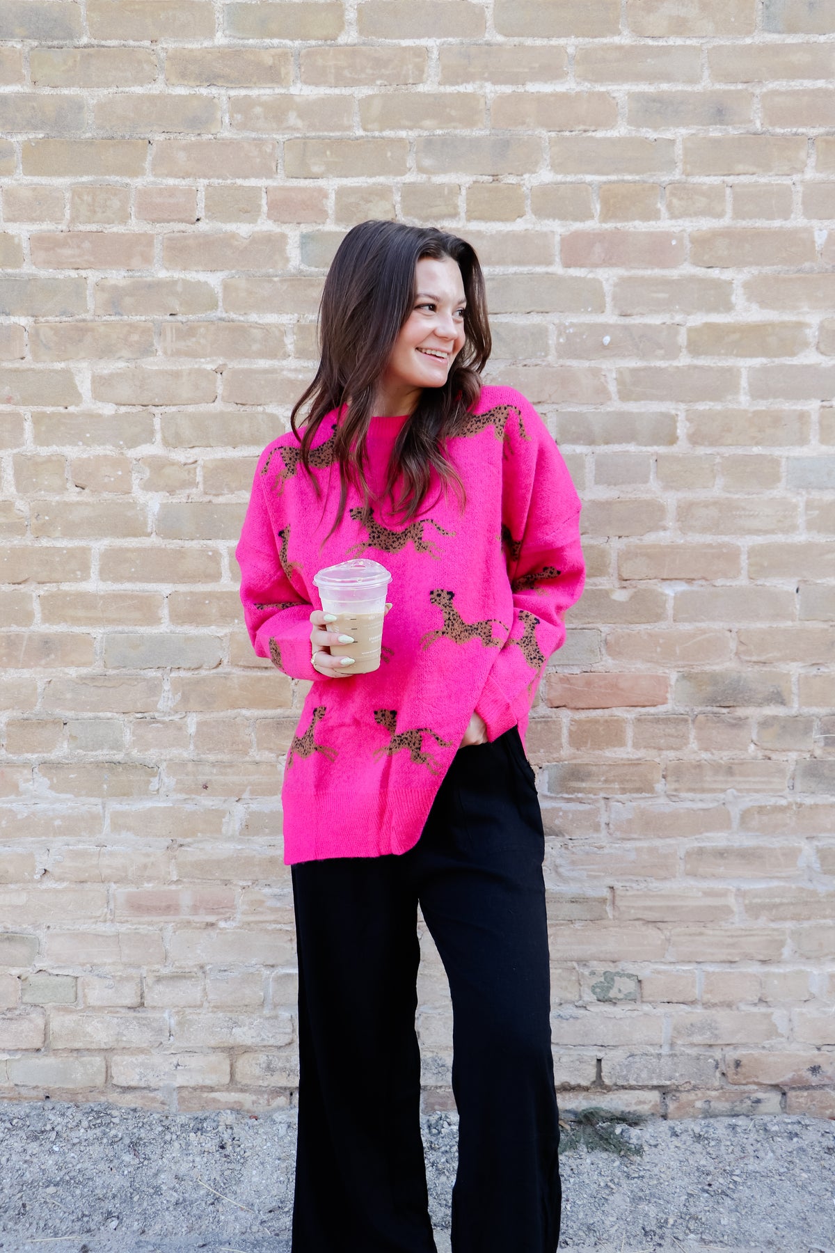 Hot Pink Cheetah Knit Sweater